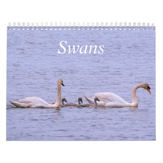 Calendrier Swans (Protection)