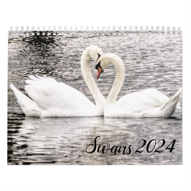 Calendrier Swans of Spring Grove (Protection)