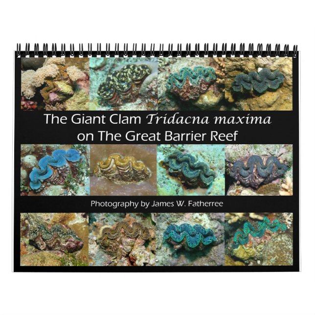 Calendrier The Giant Clam Tridacna maxima par J.W. Patrie. (Protection)