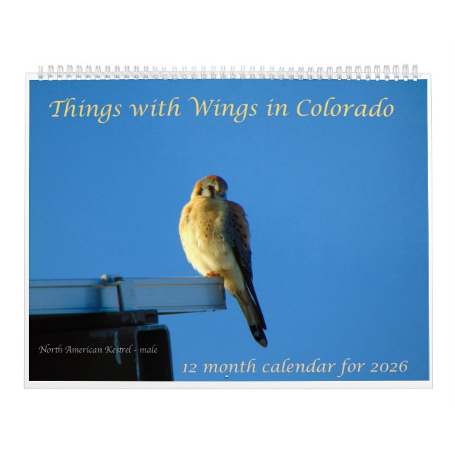 Calendrier Things with Wings: A Wildlife Photography Calendar (Protection)