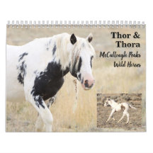 Thor & Thora à McCullough Peaks Wild Horses