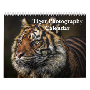 Calendrier Tiger Photographie Animal sauvage 2025