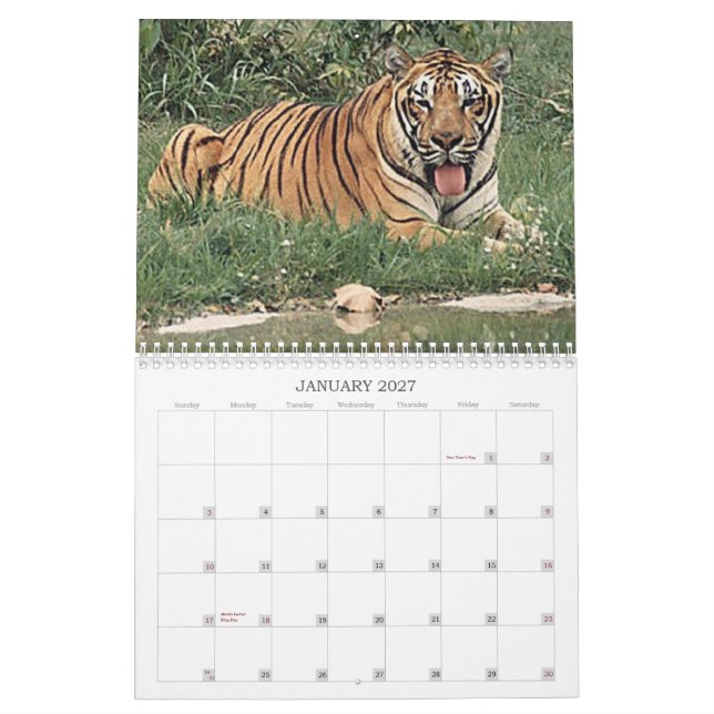 Calendrier Tigres (Jan 2027)
