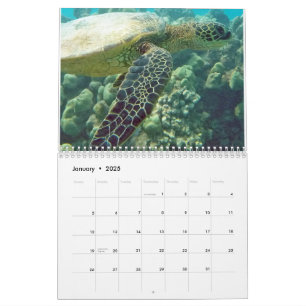 Calendrier Tortues hawaïennes