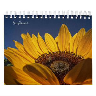 Calendrier Tournesols (2e édition)