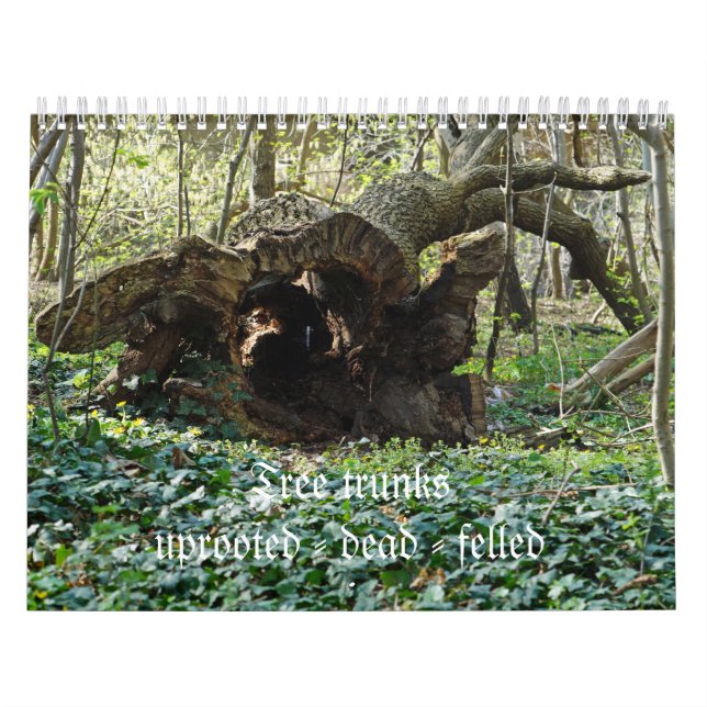 Calendrier Tree trunks uprooted - dead - felled (Protection)