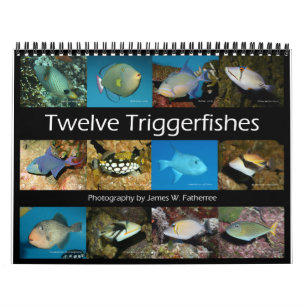 Calendrier Triggerfish Wall Calendar de J.W. Patrie.
