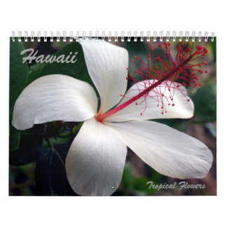 Calendrier tropical de fleurs d'Hawaï