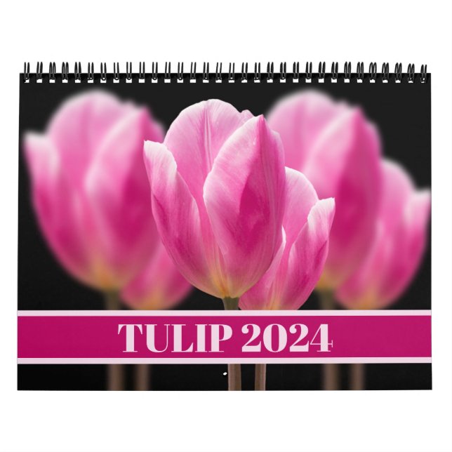 Calendrier Tulipe élégante et fleurs florales Roses Photograp (Protection)