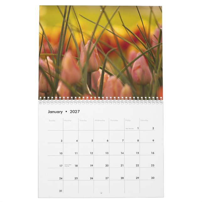 CALENDRIER TULIPES DE VALLÉE DE SKAGIT (Jan 2027)
