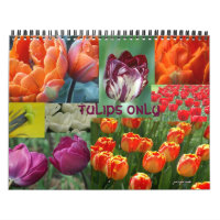 tulipes uniquement