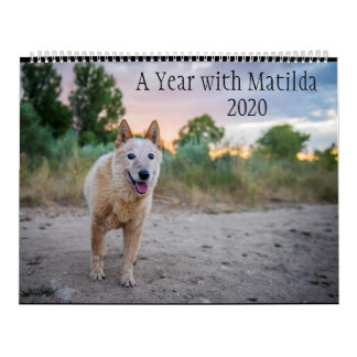 Calendrier Une année avec Matilda :Calendrier 2020