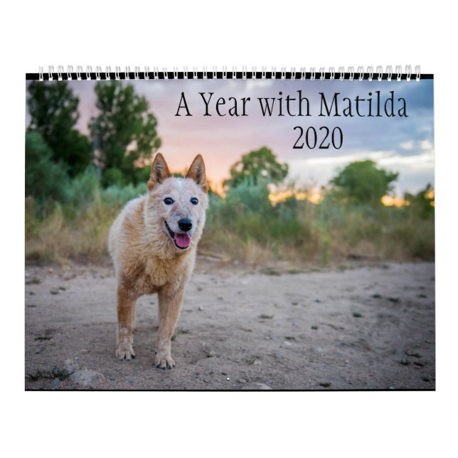 Calendrier Une année avec Matilda :Calendrier 2020 (Protection)