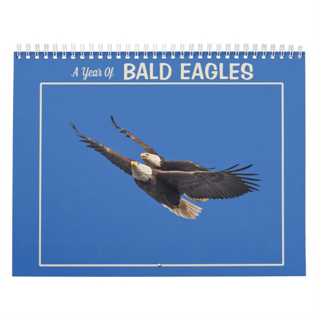 Calendrier Une Année D'Aigles Baltes (Protection)