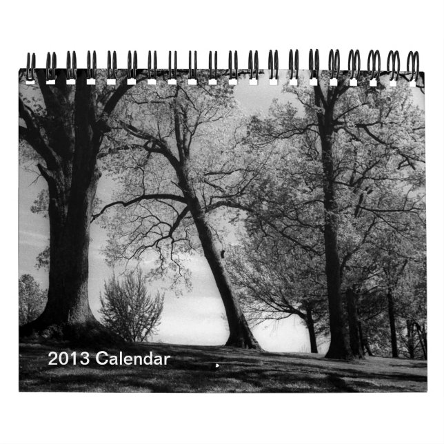 Calendrier Une année dans la photographie noire et blanche (Protection)