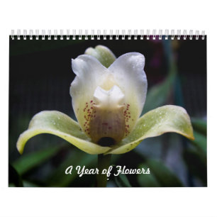 Calendrier Une année de Calender