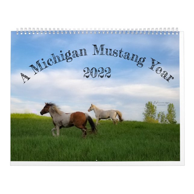 Calendrier Une année de Mustang dans le Michigan (Protection)
