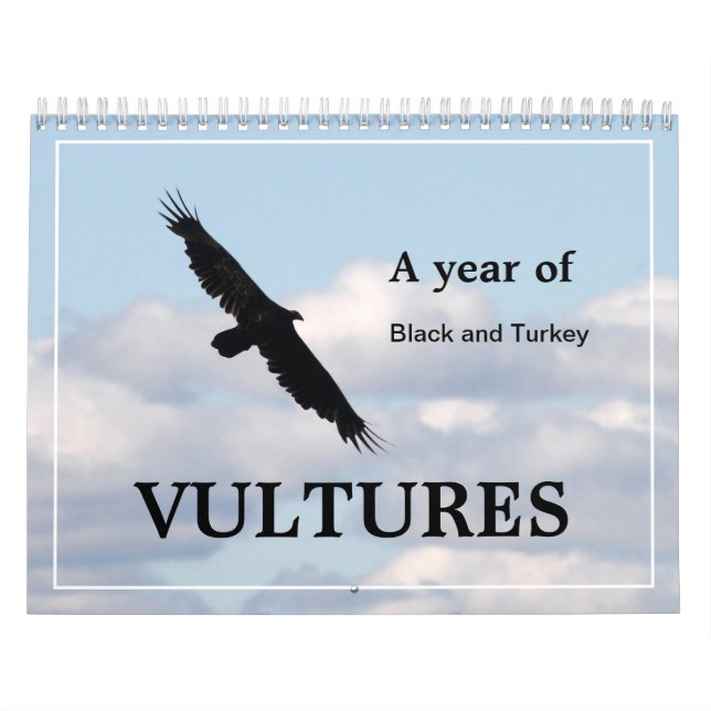 Calendrier Une année de vautours noirs et turcs (Protection)