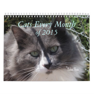 Calendrier Une année des chats - personnaliser à n'importe