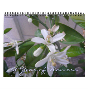 Calendrier Une année des fleurs