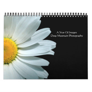 Calendrier Une année des images