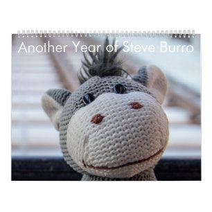Calendrier Une autre année de Steve Burro