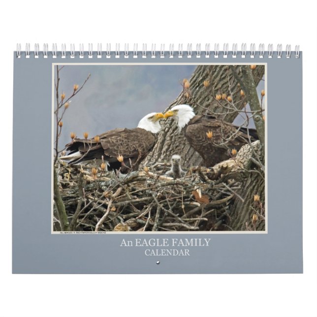 Calendrier Une famille d'aigle (Protection)