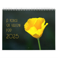 une touche de jaune pour 2025