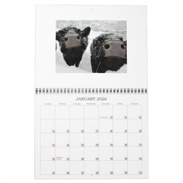 Calendrier Vaches et veaux 2015 (Jan 2026)