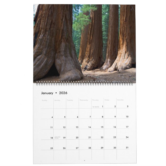 Calendrier version 2010 de JCBPhotos.net 1 (Jan 2026)