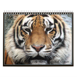 Calendrier Visages d'animal sauvage