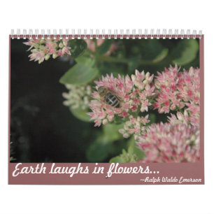 Calendrier Visions de nature