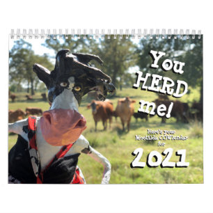 Calendrier Vous nHEIFER trouverez un meilleur COWlendar que