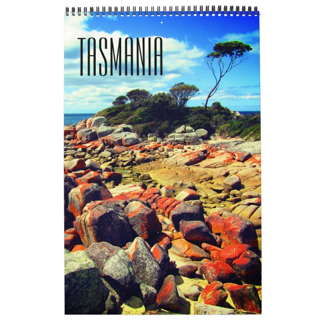 Calendrier voyage en savane (Protection)