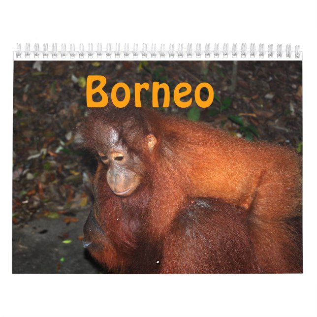 Calendrier Voyage et orangs-outans du Bornéo (Protection)