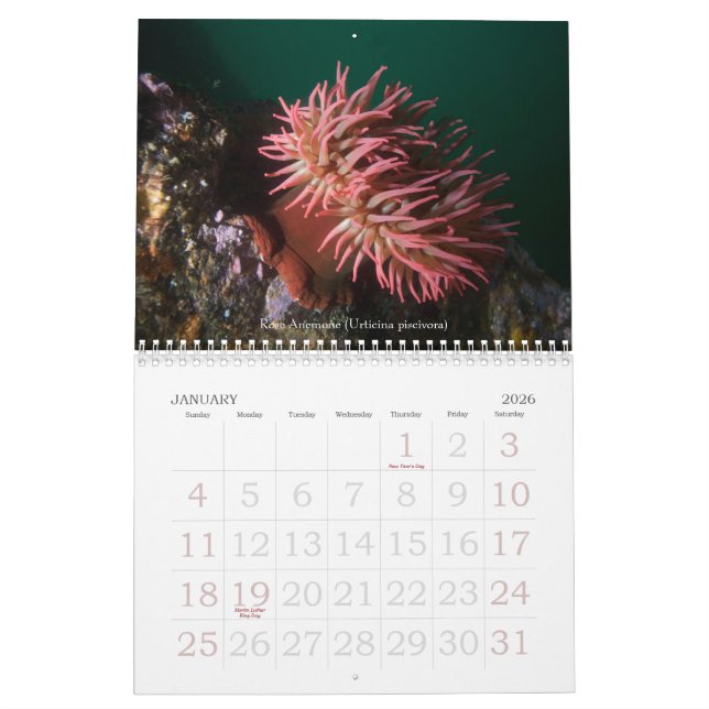Calendrier Voyages sous-marins 2008 (Jan 2026)