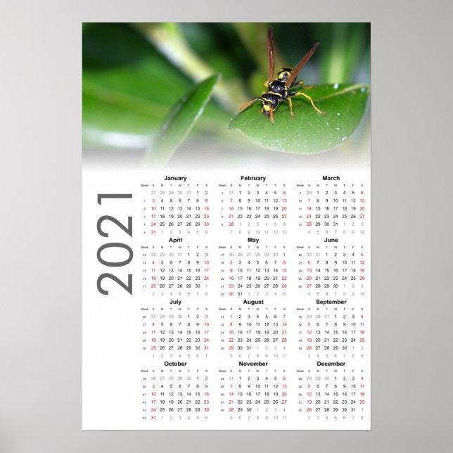Calendrier Wasp 2021 Affiche - Début dimanche (Devant)