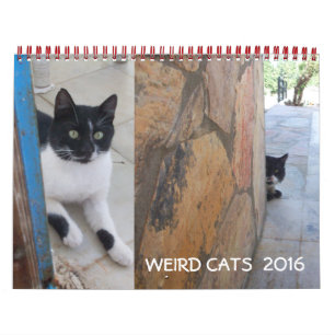 CALENDRIER WEIRD CATS 2017
