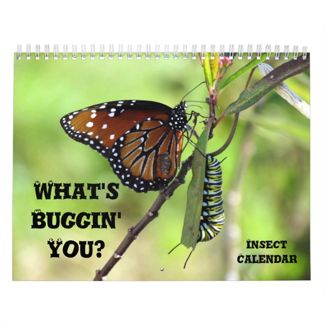 Calendrier What's Buggin' You - Insect Calendar - Edition 1 (Protection)