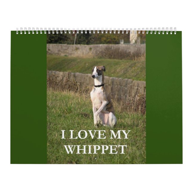 calendrier whippet (Protection)
