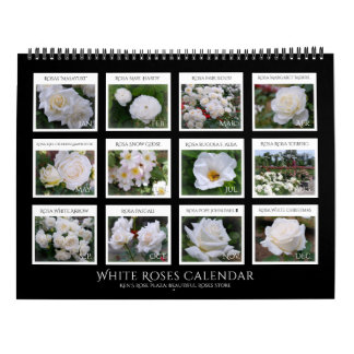 Calendrier White Roses Calendar (Type-B) カレンダー
