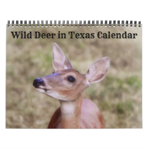 Calendrier Wild Deer au Texas