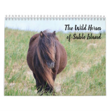 Wild Horses of Sable Island Calendar
