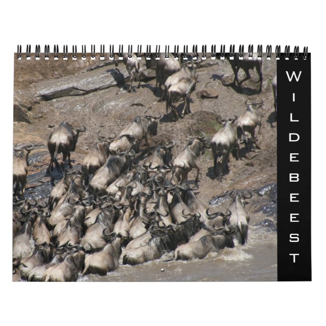 Calendrier wildebeest 2026 (Protection)
