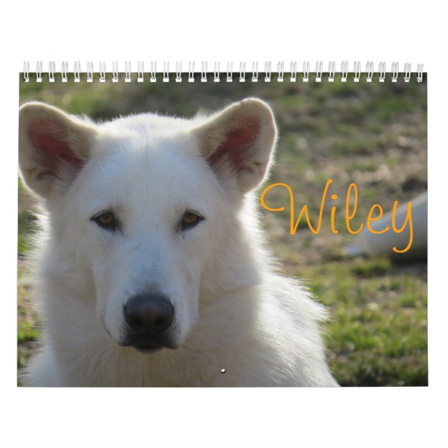 Calendrier Wiley (Protection)