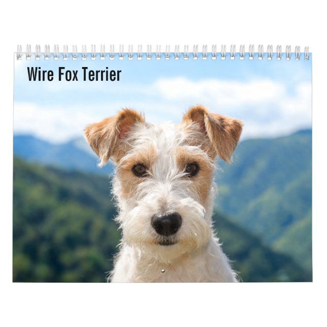 Calendrier Wire Fox Terrier 2027 (Protection)