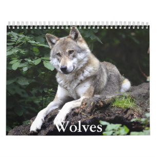 Calendrier Wolf
