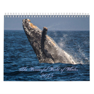 Calendrier Wonderful World of Whales 2015 Calender
