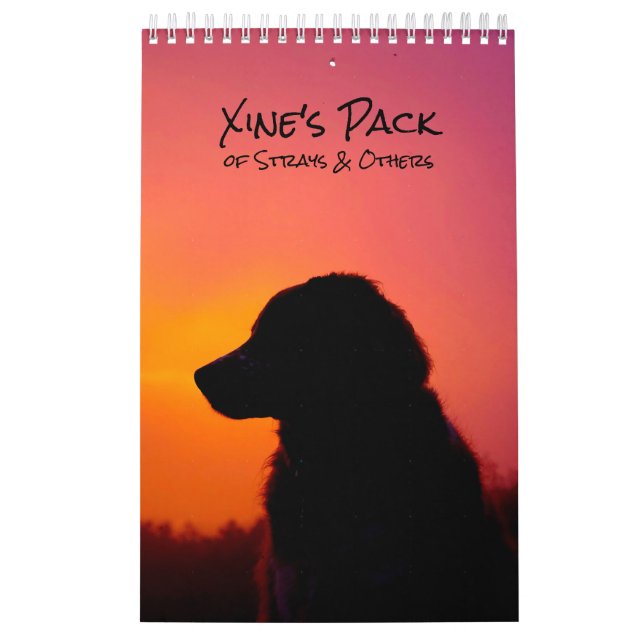 Calendrier Xine's Pack of Strays & Others Calendar (Protection)