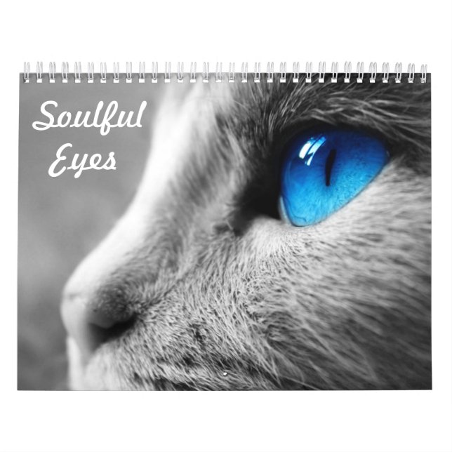 Calendrier Yeux émouvants du chat (Protection)
